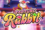 Fortune Rabbit