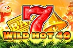 Wild Hot 40
