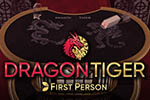 First Person Dragon Tiger