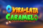 O Vira-lata Caramelo